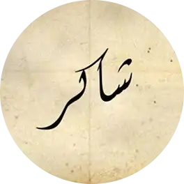 Ellipse 14 (4)