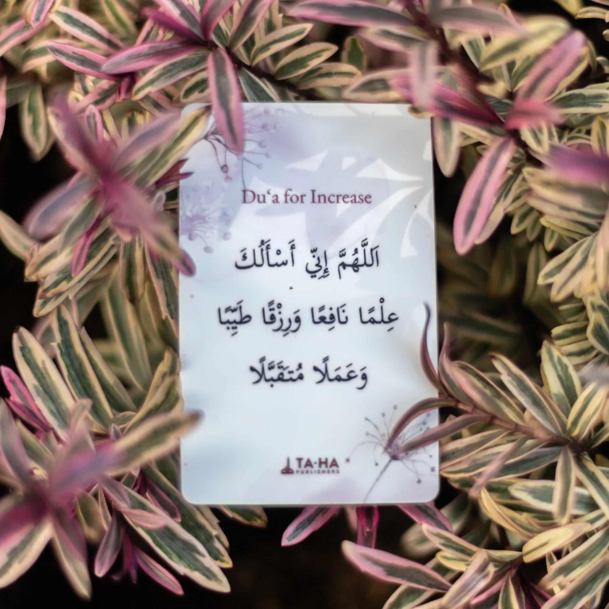 Front of Du'a for Increase Card by Ta-Ha Publishers. Plastic wallet du'a card